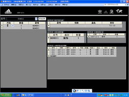 Access软件开发的魅力与价值